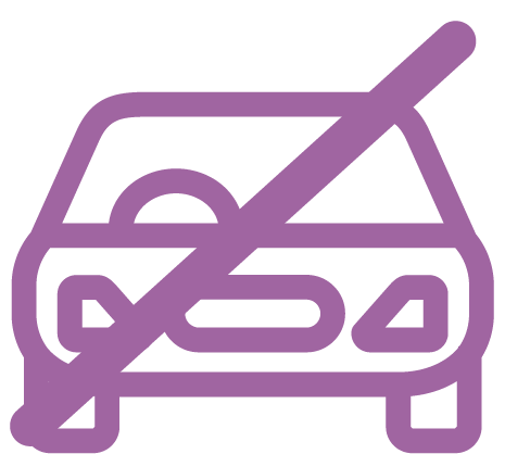 panel icon for <p>No parking</p>
